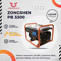 Генератор бензиновый ZONGSHEN PB 3300
